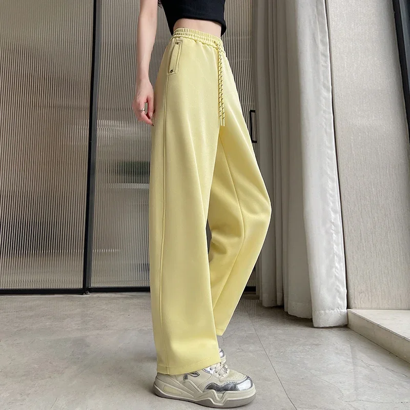 2025 Fall Wide-Leg Pants for Women