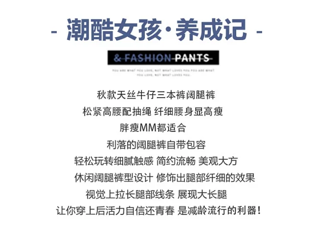 2025 Autumn Thickened Tencel Denim Yamamoto Wide - leg Pants Detail