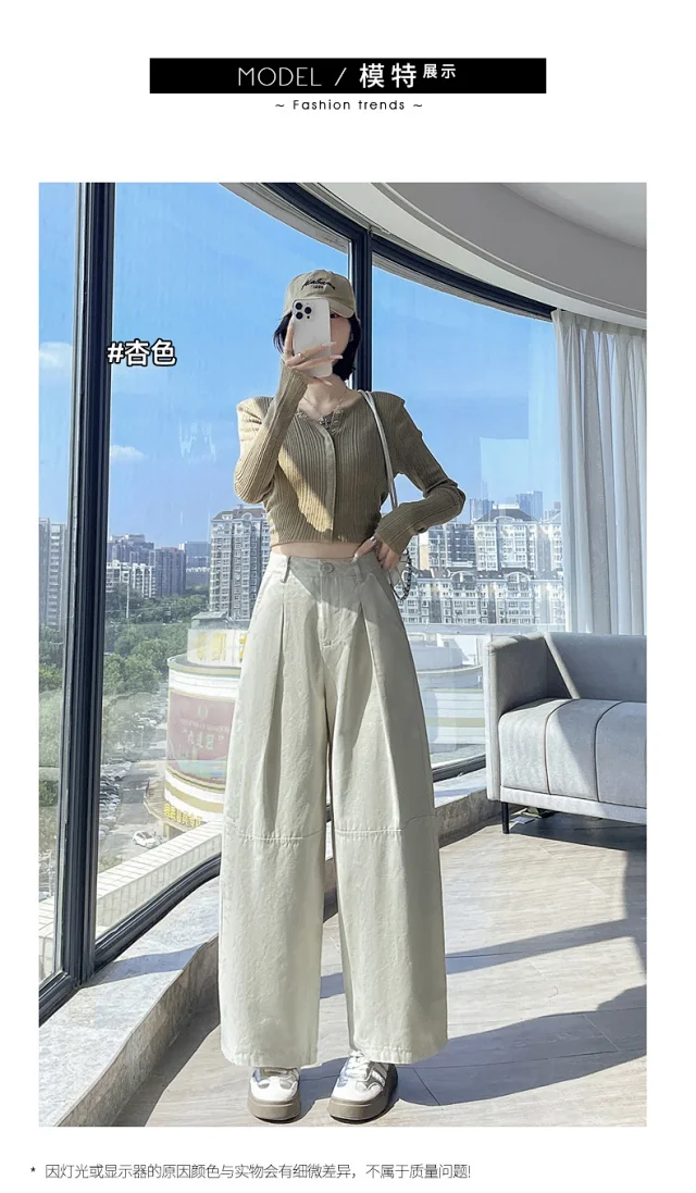 2025 Early Fall Korean Wide - leg Pants Detail