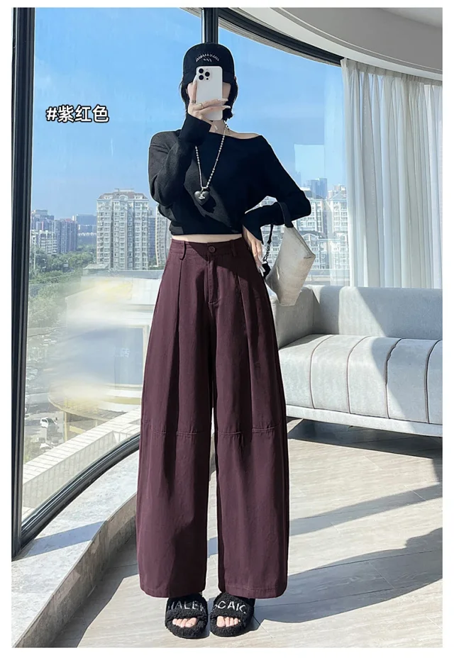 2025 Early Fall Korean Wide - leg Pants Detail