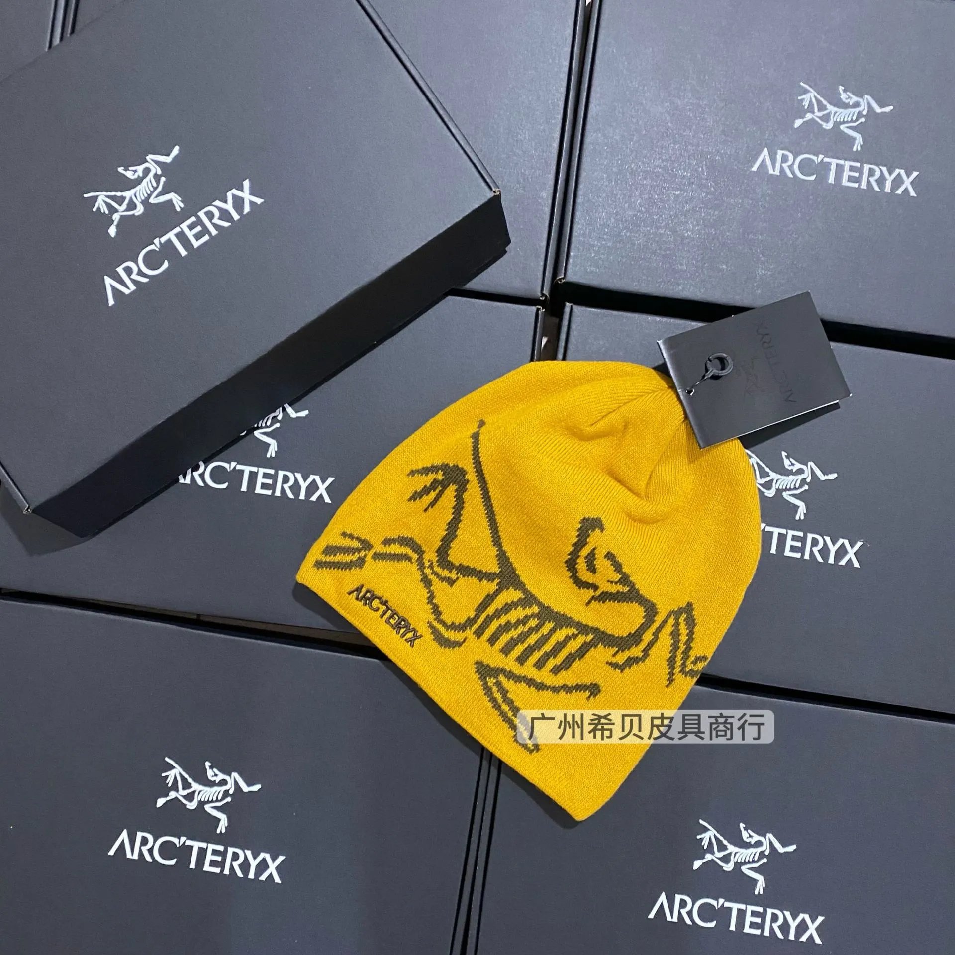 Arc'teryx Letter Knit Beanie photo 5