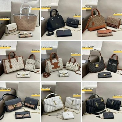 Coach Signature Tote, Celine Triomphe & Box, YSL Loulou & Kate Handbags Collection [40 styles]