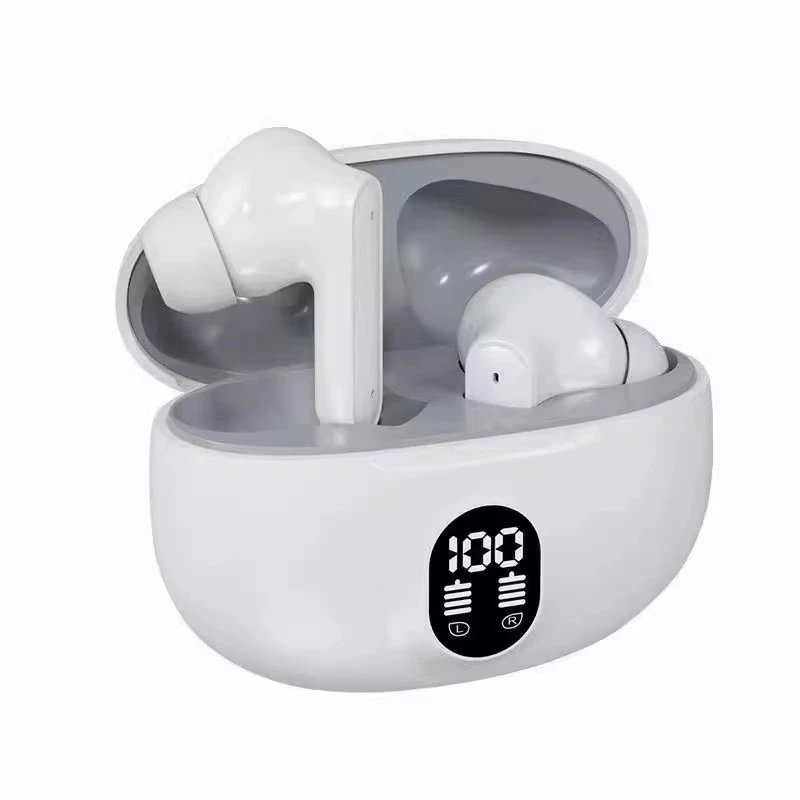 Wireless Earbuds with Charging Case