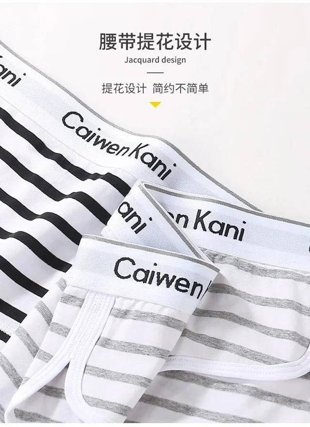 Caiwen Kani Underwear Wireless Triangle Bra and Briefs Set product detail image 96