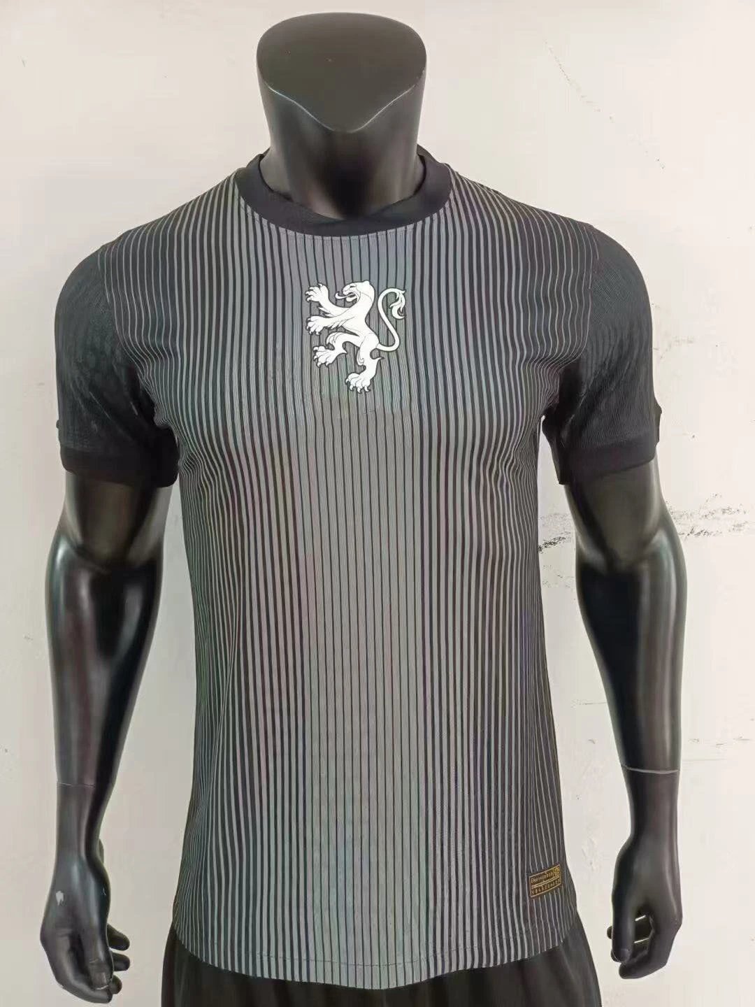 25-26荷兰守门员