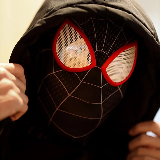 Spider-Man Masks: seller detail photo 3