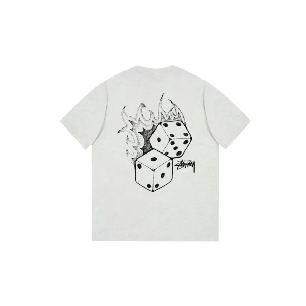 Stussy Dice Flame Graphic T-Shirt Heather Gray - 1