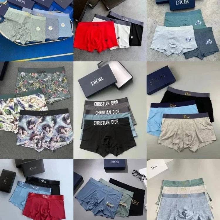 Dior Underpants