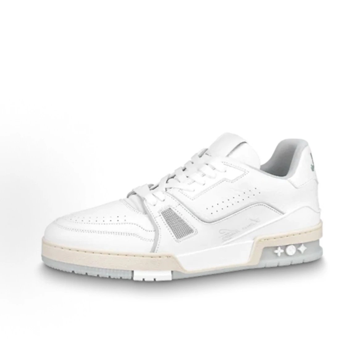 Skate Shoes Sneakers