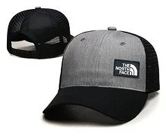 The North Face Hats Logo Patch Baseball Cap image 9
