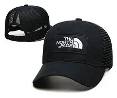 The North Face Hats Logo Patch Baseball Cap product detail image 10