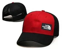 The North Face Hats Logo Patch Baseball Cap product detail image 26