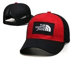 The North Face Hats Logo Patch Baseball Cap product detail image 13