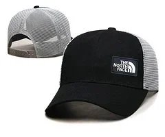The North Face Hats Logo Patch Baseball Cap — ZYYJ193