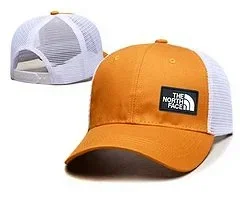 The North Face Hats Logo Patch Baseball Cap product detail image 30