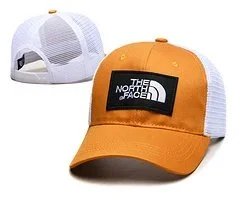 The North Face Hats Logo Patch Baseball Cap image 5