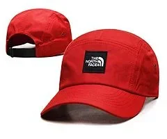 The North Face Hats Logo Patch Baseball Cap product detail image 3