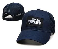 The North Face Hats Logo Patch Baseball Cap — ZYYJ176
