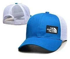 The North Face Hats Logo Patch Baseball Cap product detail image 29