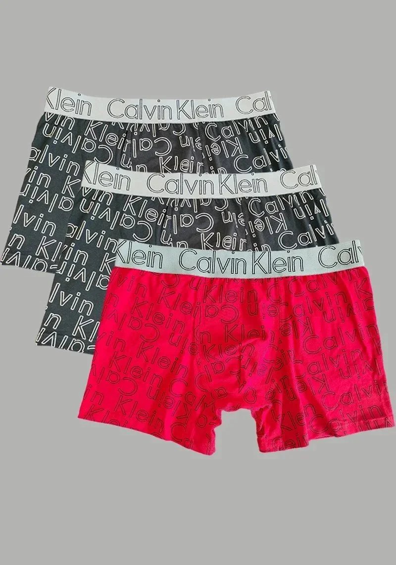 Calvin Klein Modern Cotton Boxer Briefs Set Gray Multicolor Underwear - 4