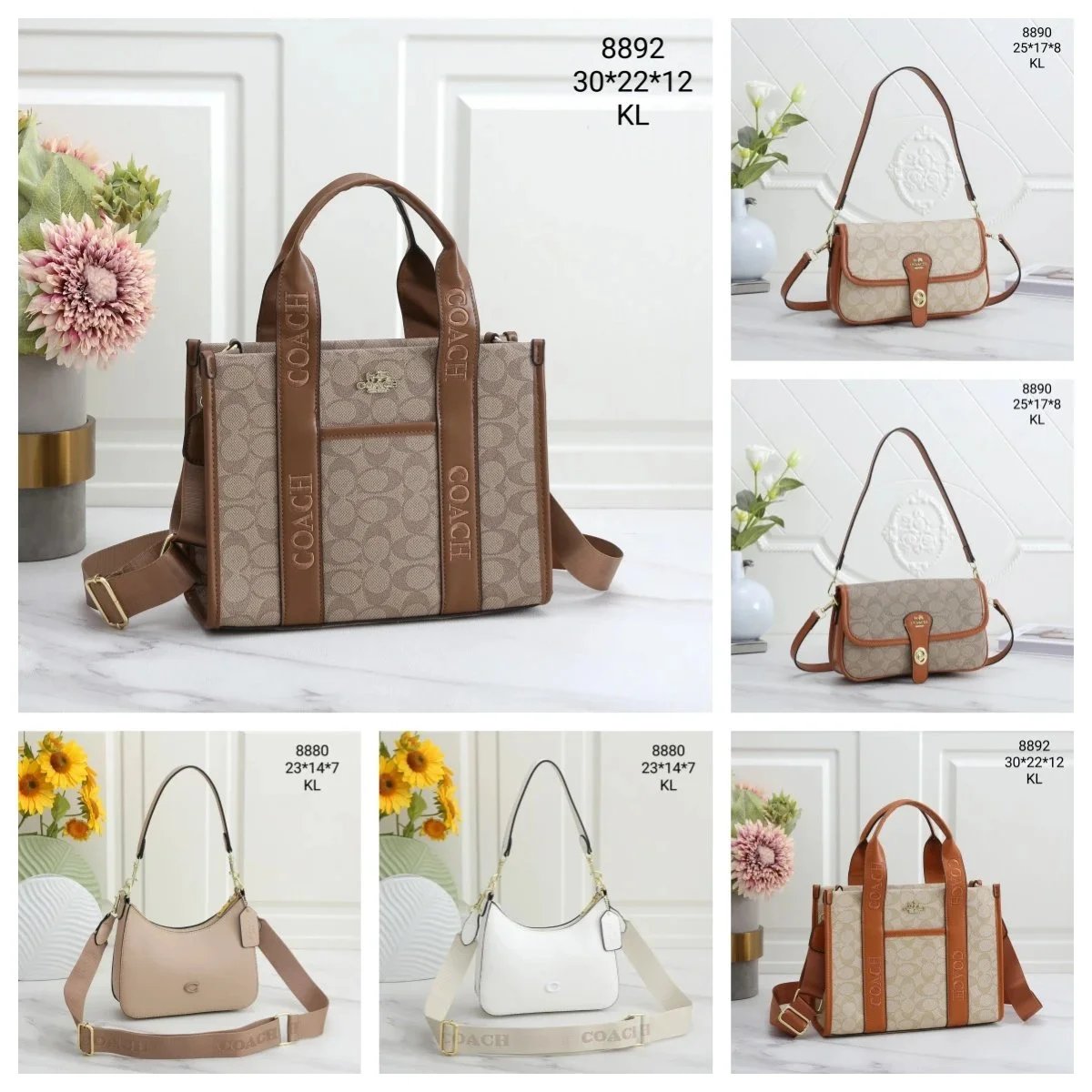 Coach 8892 Beige Sig