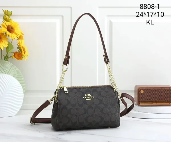 Coach Signature Canvas Chain Shoulder Bag Brown - 1