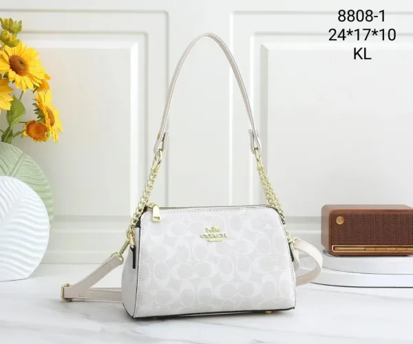 Coach Chain Shoulder Bag White Signature Print - 1