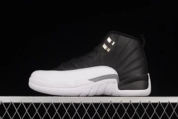 Air Jordan Air Jordan 12