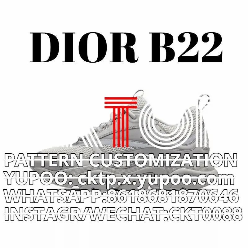 Dior B22