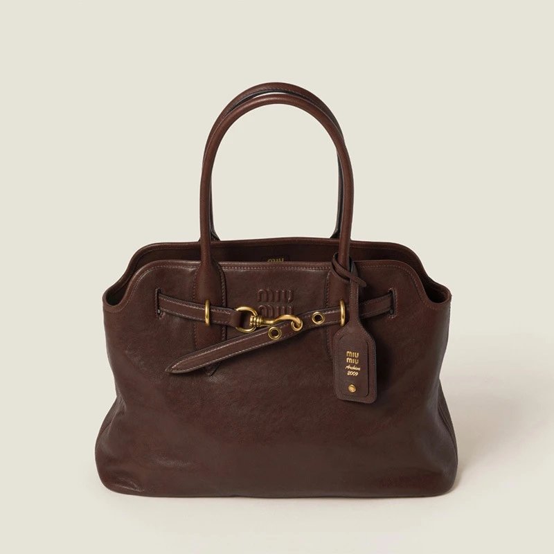 Miu miu Bag — Coffee color colorway — USFans Spreadsheet photo