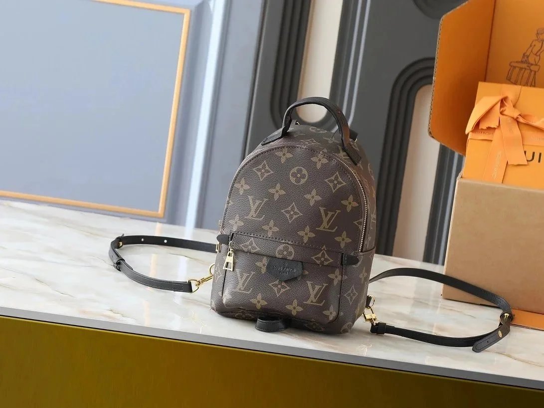 Louis Vuitton Palm Springs Mini Backpack Monogram Brown - 1