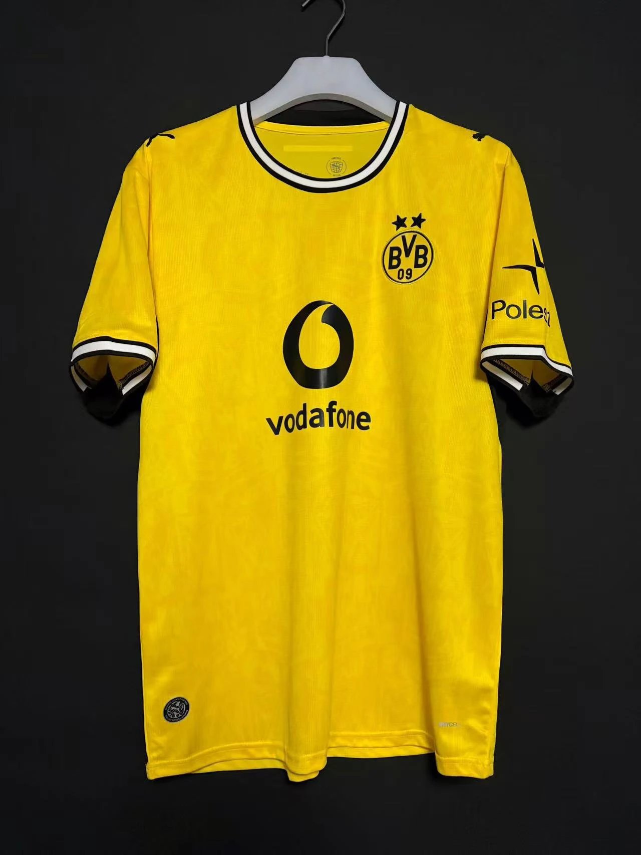 2627 Dortmund Home