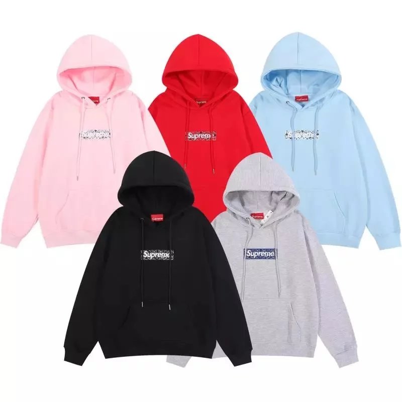 Supreme Box Logo Hoodie [11 st