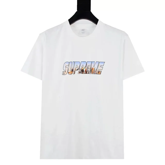 Supreme T-Shirts Short-Sleeve Box Logo Print product detail image 20