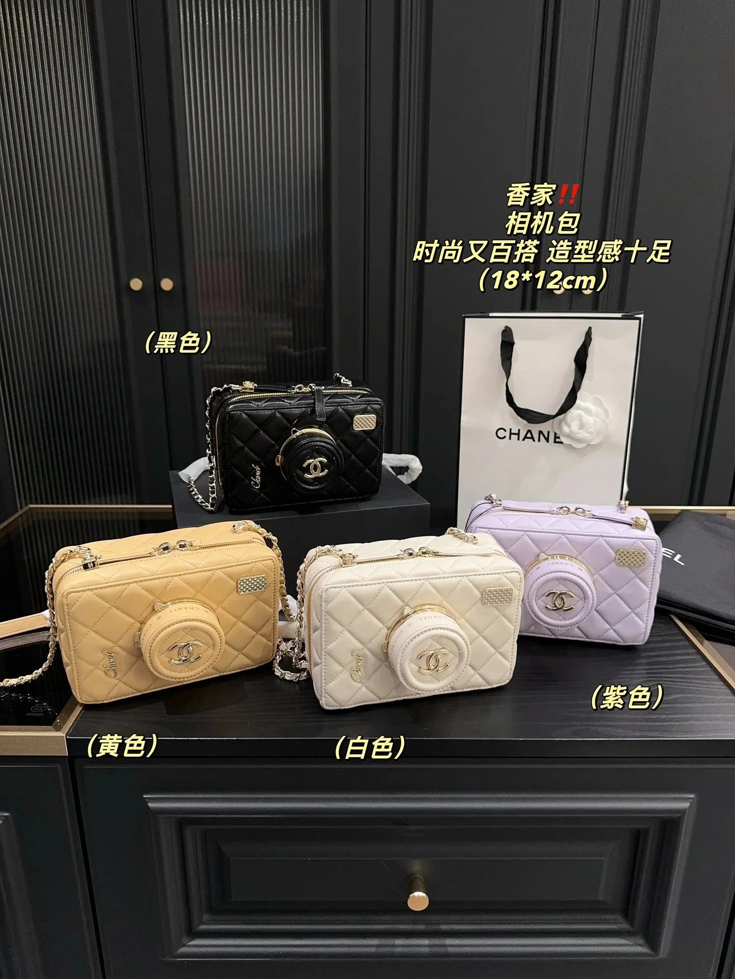 Chanel Camera Bag [36 styles]