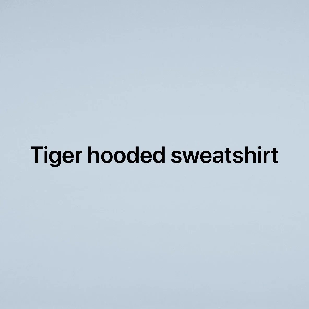 Embroidered Hooded Sweatshirt