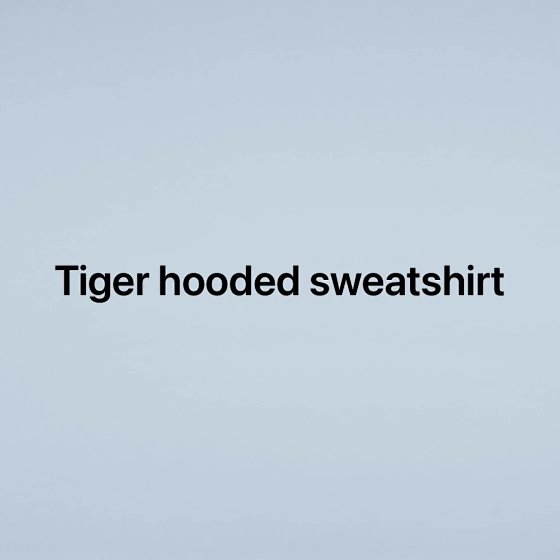 Embroidered Hooded Sweatshirt