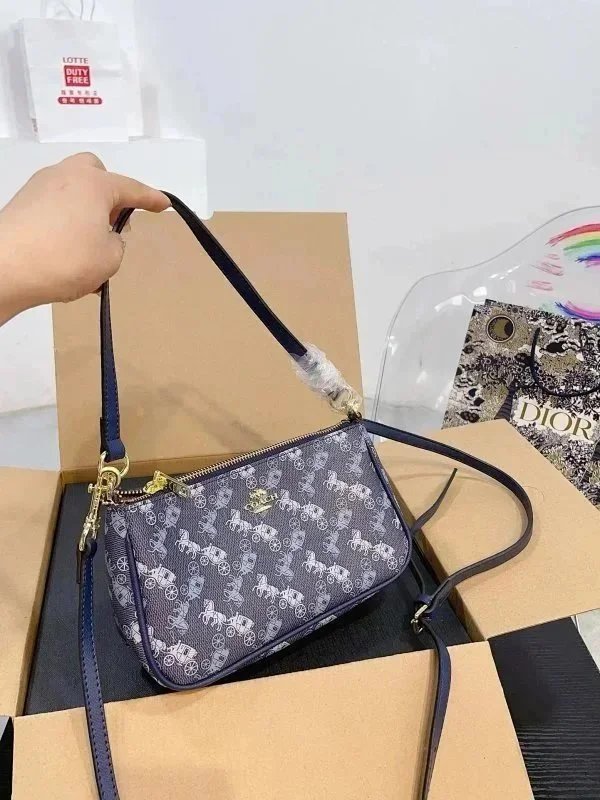 DIOR BAG - 16/41