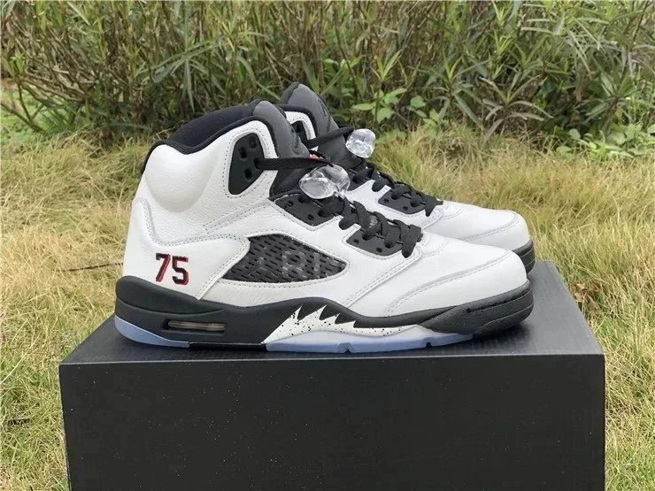 Jordan 5 - 16/31