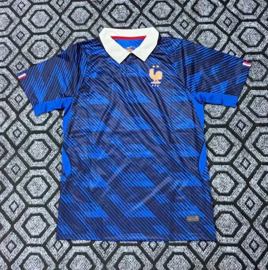 2026 France Home