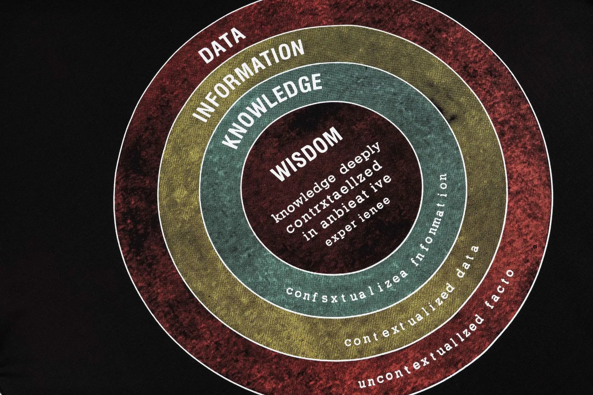 Gallery Dept. Data to Wisdom Graphic T-Shirt Black - 13