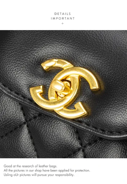 Chanel Mini Flap Bag Black Quilted Leather Handbag - 13