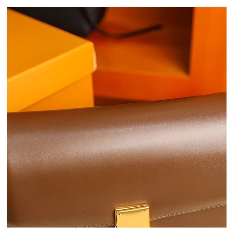 Celine Triomphe Mini Brown Leather Crossbody Bag - 27