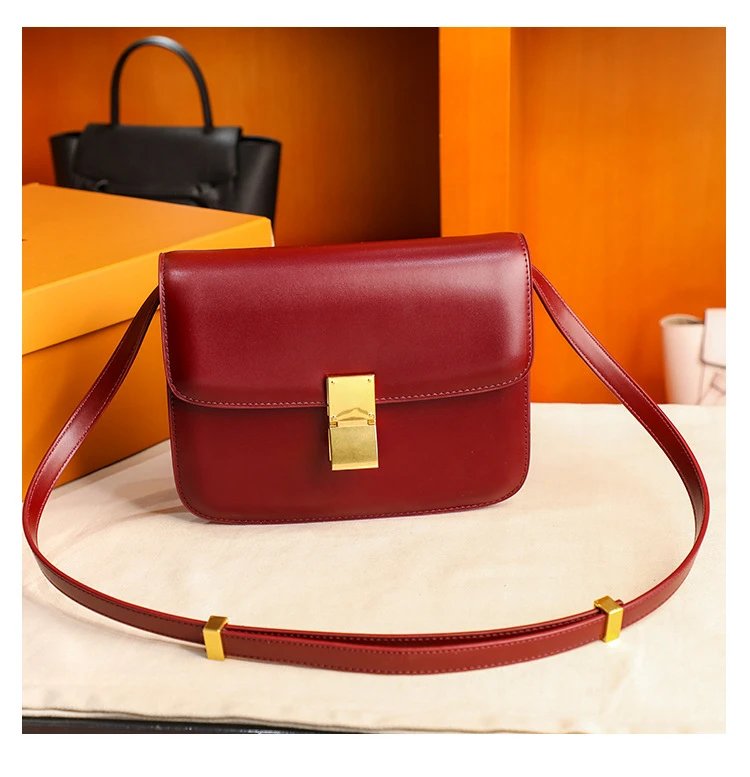 Celine Triomphe Mini Brown Leather Crossbody Bag - 22