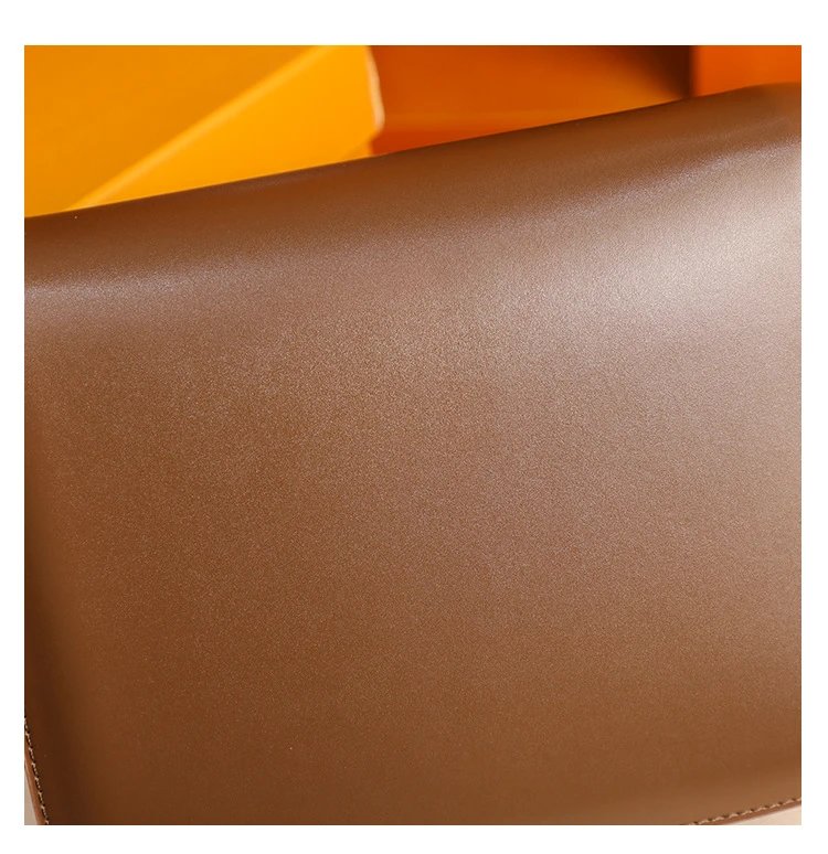 Celine Triomphe Mini Brown Leather Crossbody Bag - 30