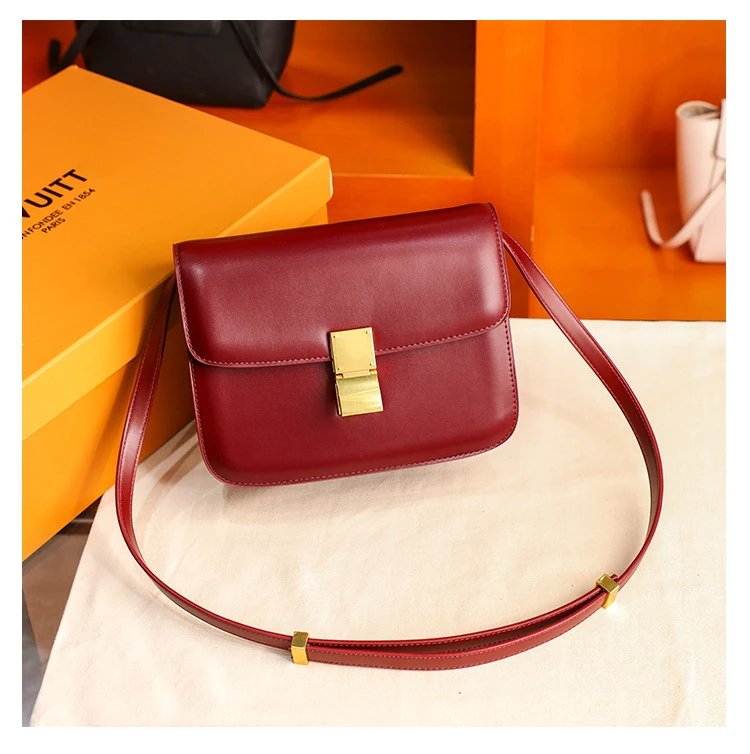 Celine Triomphe Mini Brown Leather Crossbody Bag - 23