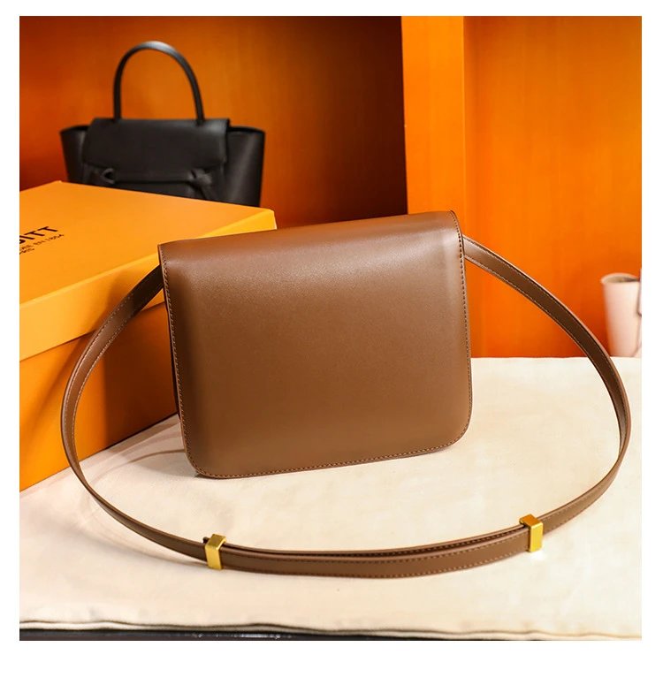 Celine Triomphe Mini Brown Leather Crossbody Bag - 20