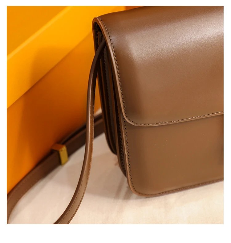 Celine Triomphe Mini Brown Leather Crossbody Bag - 28