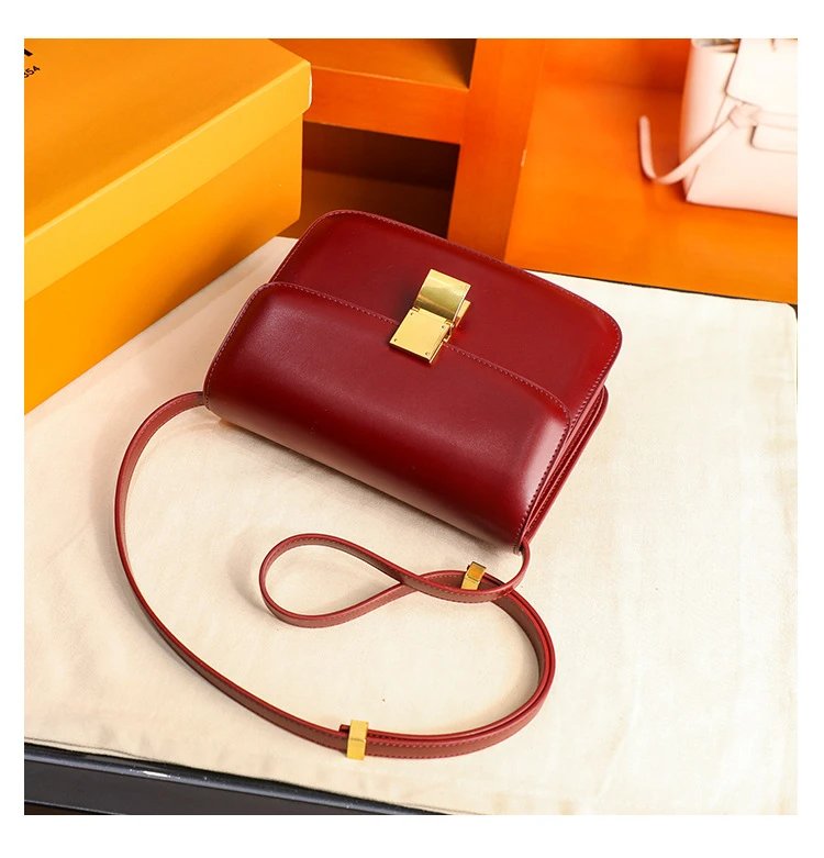 Celine Triomphe Mini Brown Leather Crossbody Bag - 24