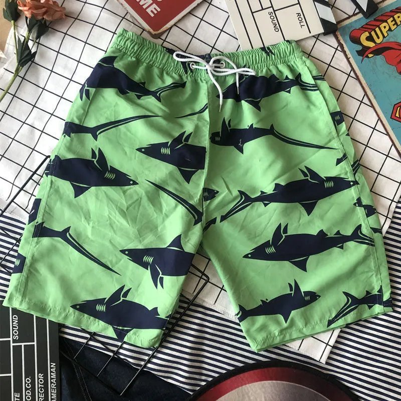 鲨鱼